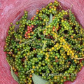 Sichuan Pepper especiarias secas ervas pimenta preta com sabor